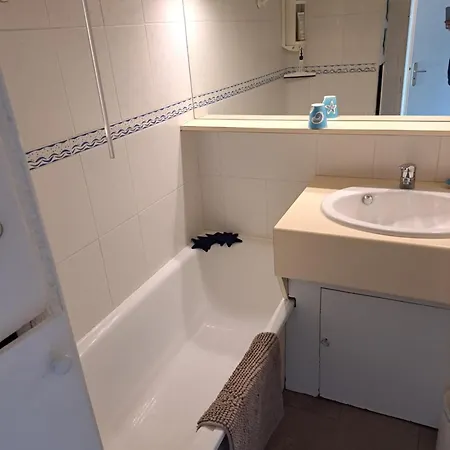 Apartamento Alhambra, Pour 4 Personnes Avec Parking, Piscine, Clim Agde