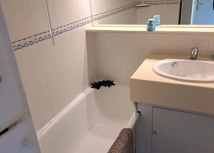 Appartamento Alhambra, Pour 4 Personnes Avec Parking, Piscine, Clim Agde